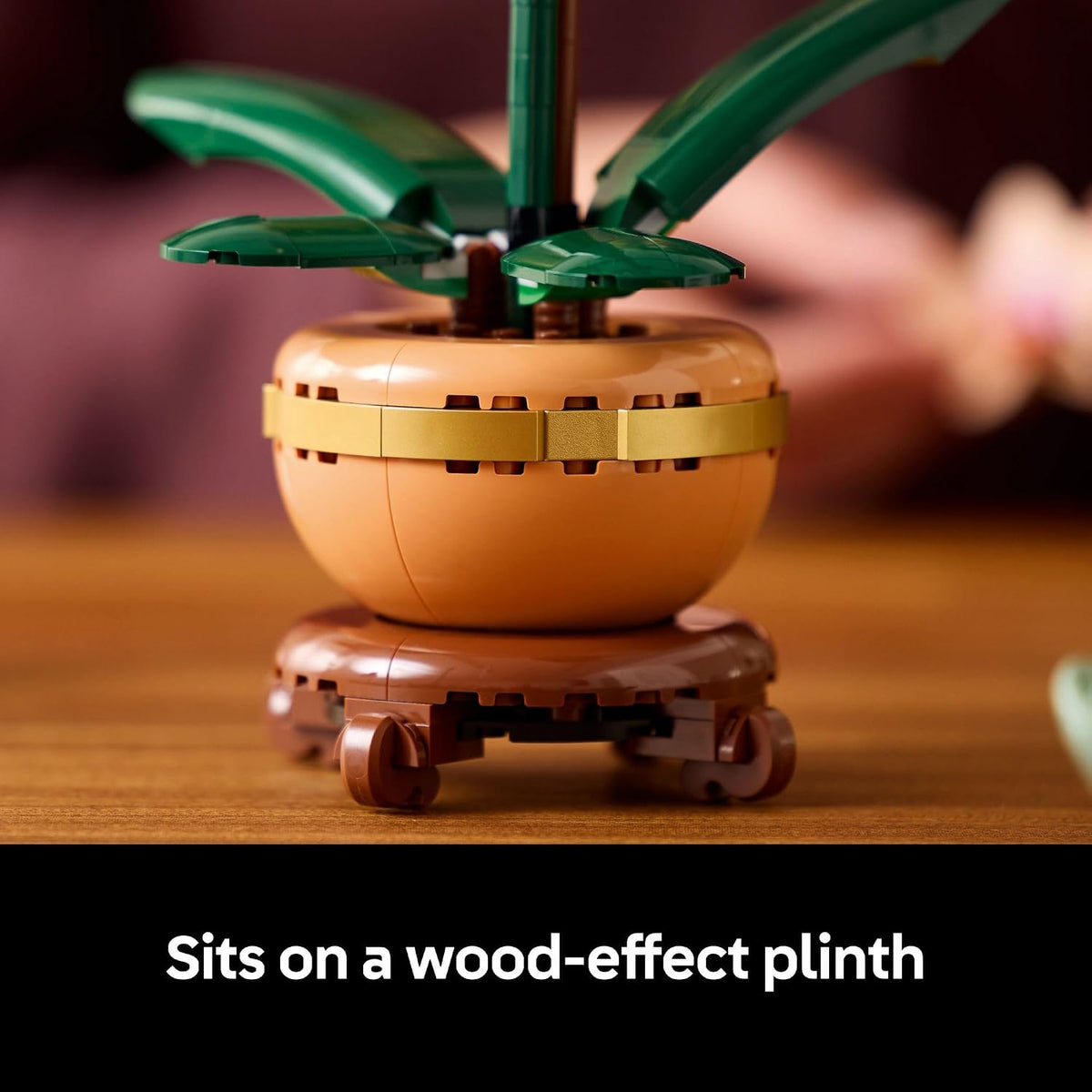 light terracotta flowerpot paired with a wood-effect plinth for a realistic botanical presentation