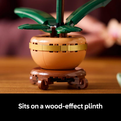 light terracotta flowerpot paired with a wood-effect plinth for a realistic botanical presentation