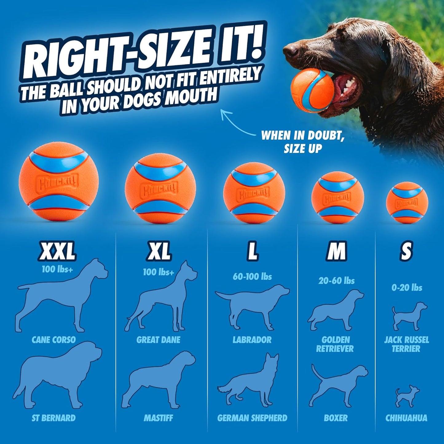 lightweight, buoyant, and floating design for water-based fetch