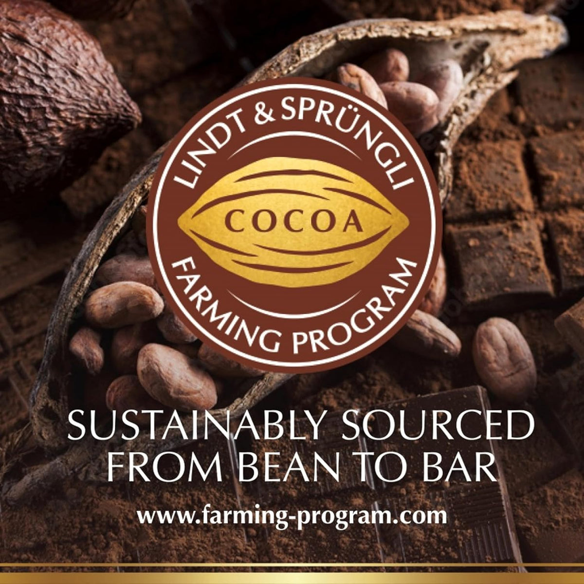 Lindt Excellence Sea Salt Dark Chocolate Bars – Sophisticated After-Dinner Indulgence for Entertaining Guests