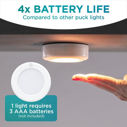 lineup of pack sizes (1, 2, 3, 6) and a rechargeable variant for flexible budgeting and sustainability