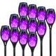 12Pack - Purple