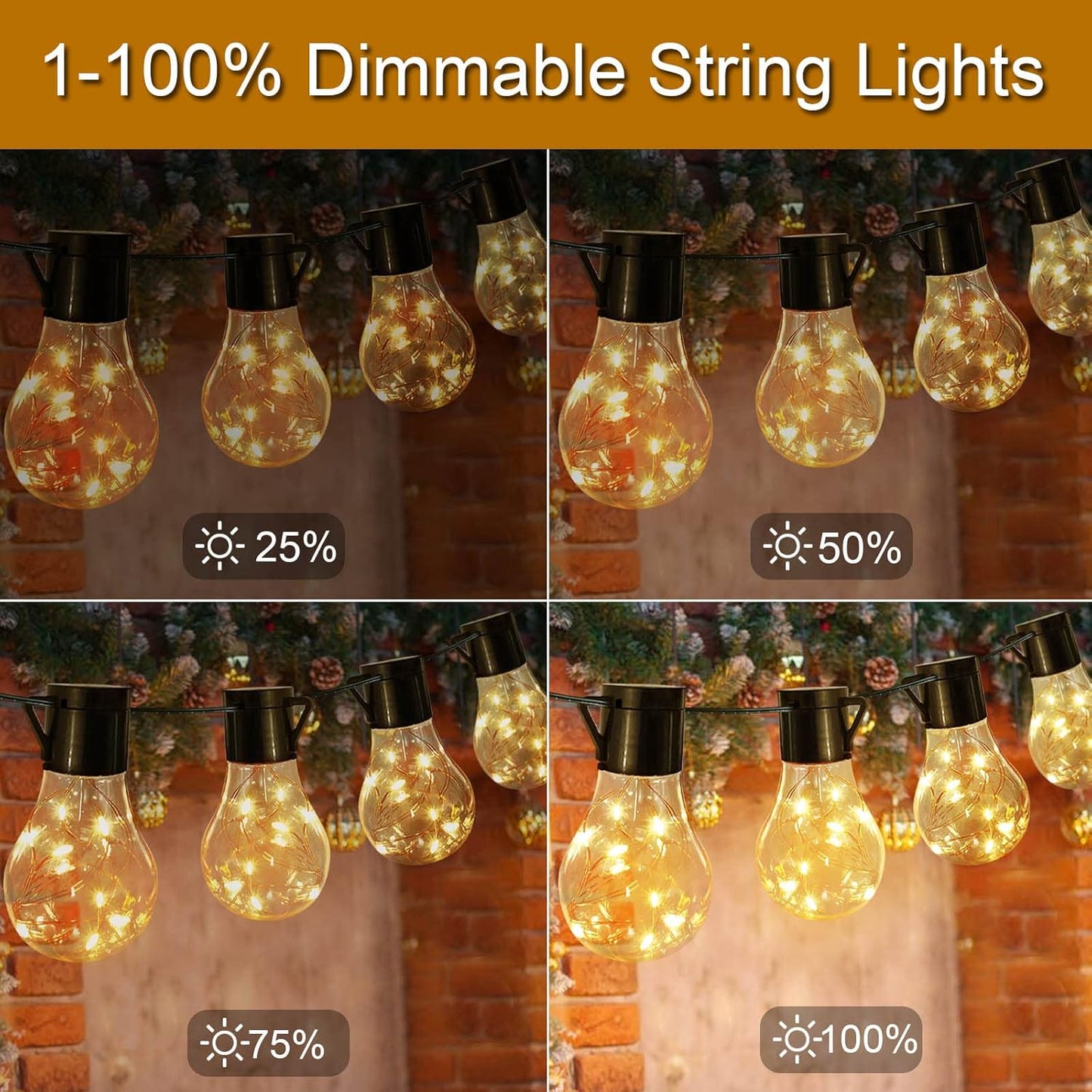 LumifyPro Warm White Battery String Lights 14ft 20 Hanging Bulbs, Holiday Gift for Mom and Best Friend with Dimmable Remote 8 Modes