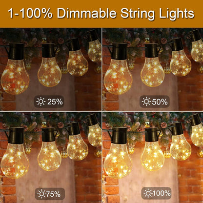 LumifyPro Warm White Battery String Lights 14ft 20 Hanging Bulbs, Holiday Gift for Mom and Best Friend with Dimmable Remote 8 Modes