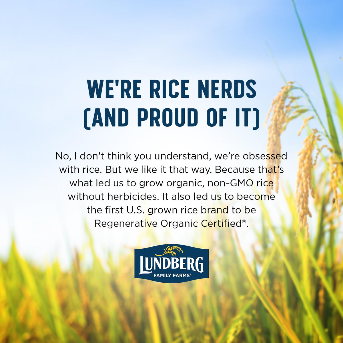 Lundberg Family Farms Basmati Rice – Fluffy Long-Grain Base for Workweek Lunch Bowls