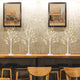 4PK Birch Tree
