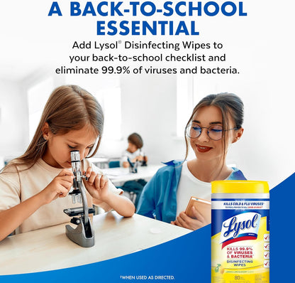 Lysol Disinfecting Wipes – Road Trip Cleaning Kit for RVs and Rest Stops, Multi-Surface Sanitizing for Anywhere You Park, 80 Count