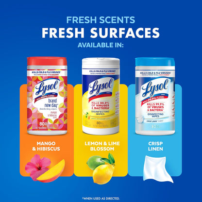 Lysol Disinfecting Wipes – Road Trip Cleaning Kit for RVs and Rest Stops, Multi-Surface Sanitizing for Anywhere You Park, 80 Count