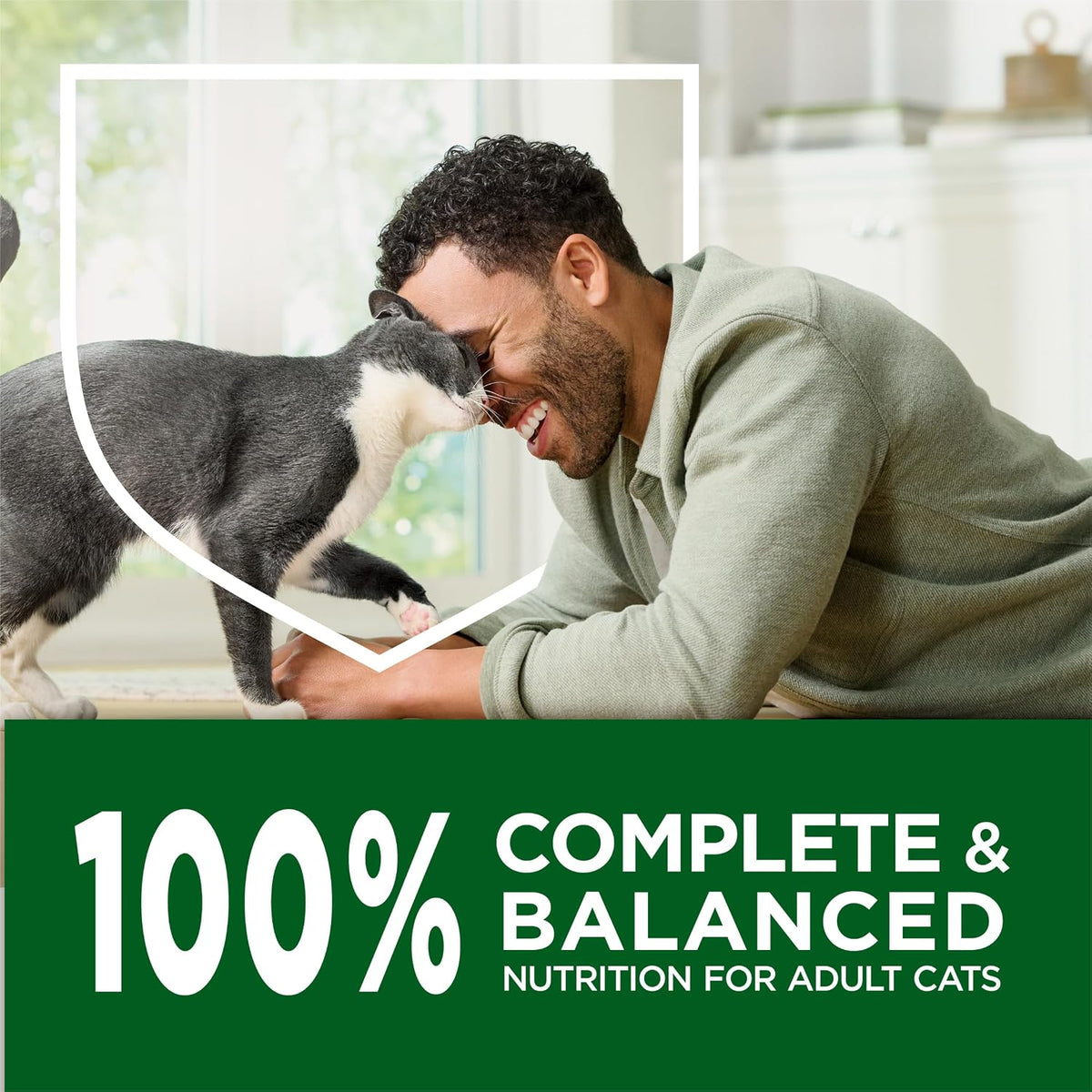 Purina Cat Chow Indoor Hairball + Healthy Weight Dry Cat Food – Daily Adult Cat Nutrition Without Artificial Flavors