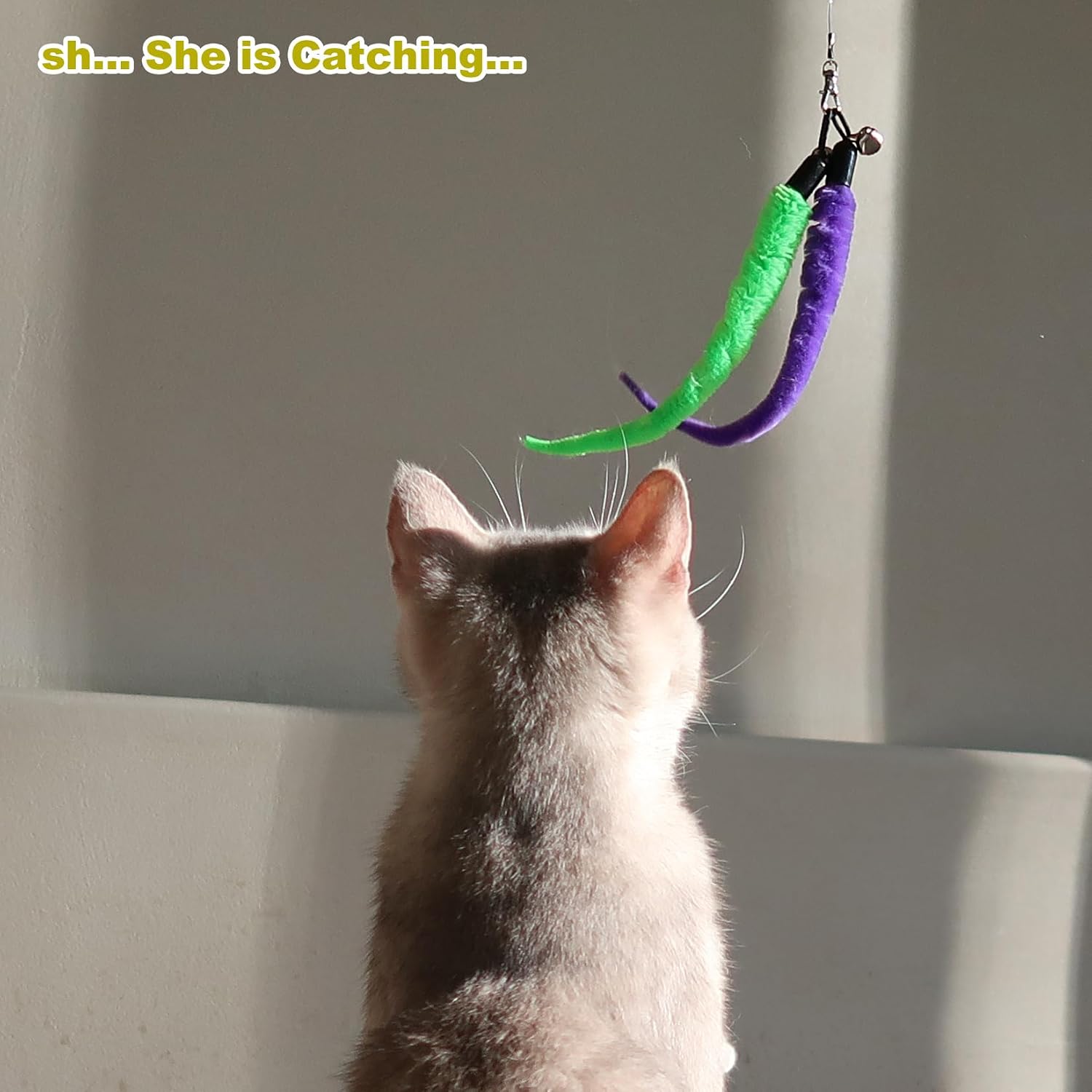 MeoHui Feather Wand Set – Relaxing Bonding Play for Cat Lovers' Evening Wind-Down Ritual