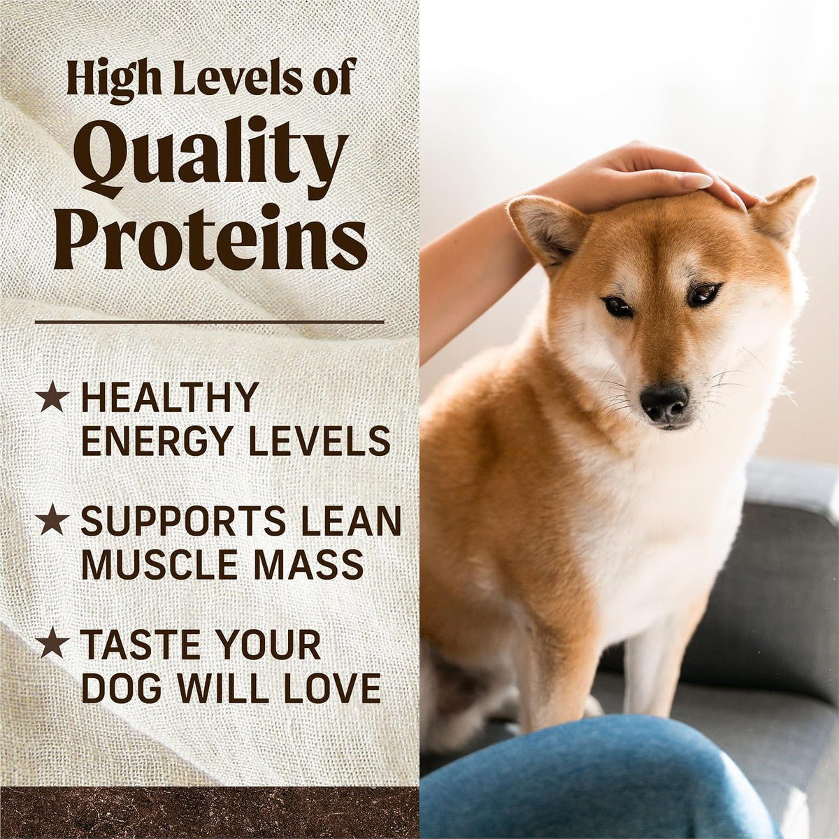 Merrick High-Protein Grain Free Dog Kibble for a Consistent Evening Meal and Healthy-Lifestyle Ritual