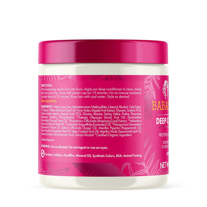Mielle Organics Babassu & Mint Deep Conditioner – Parent-Approved Hair Treatment for Tweens, Mild Scalp Care for Delicate Strands
