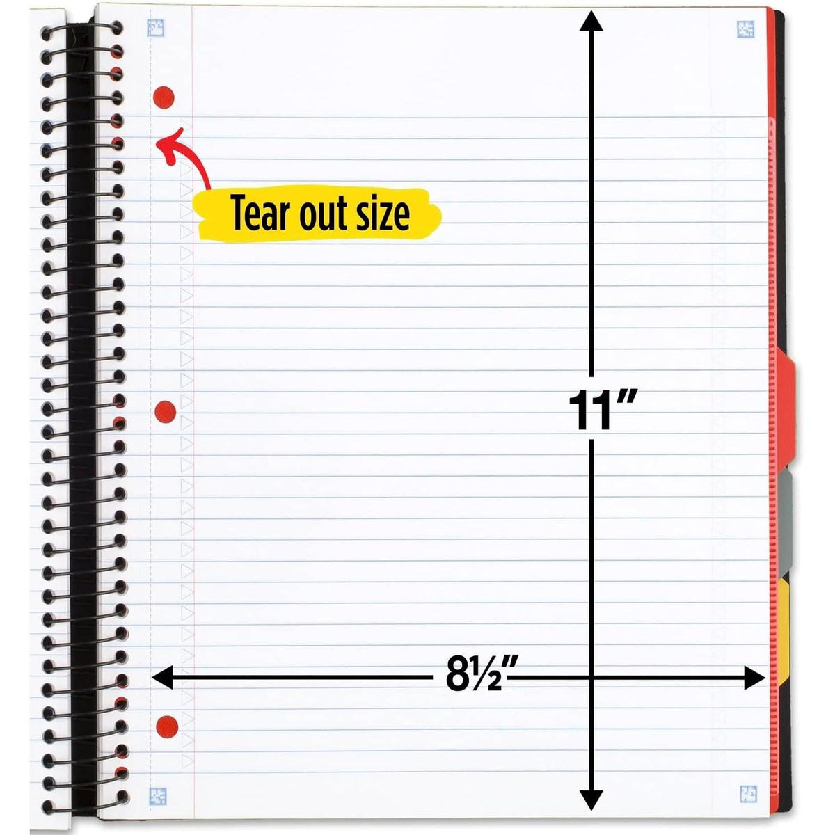 movable plastic tabbed divider with expanding pocket for 8.5x11 handouts