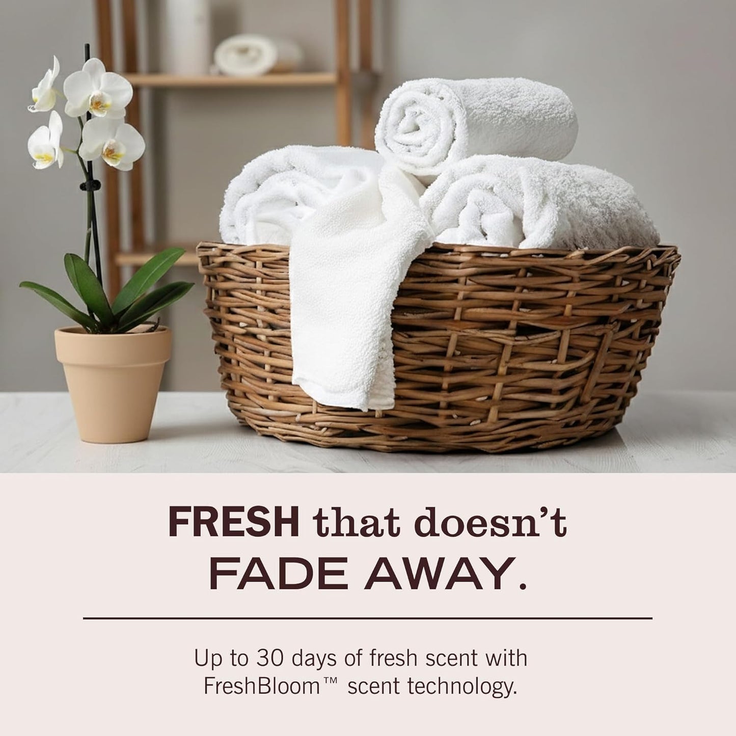 MRS. MEYER'S CLEAN DAY Natural Detergent – Rain Water Fragrance to Bring Outdoor Calm to Your Laundry