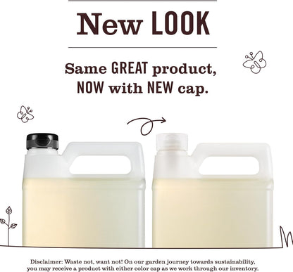Mrs. Meyer's Clean Day Plant-Derived Dish Soap Refill – Refined Rain Water Scent for the Curated Apartment Kitchen