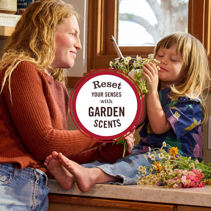 Mrs. Meyer's Clean Day Variety Pack Gift – Curated Room Spray Assortment for Mother's Day or Special Occasions