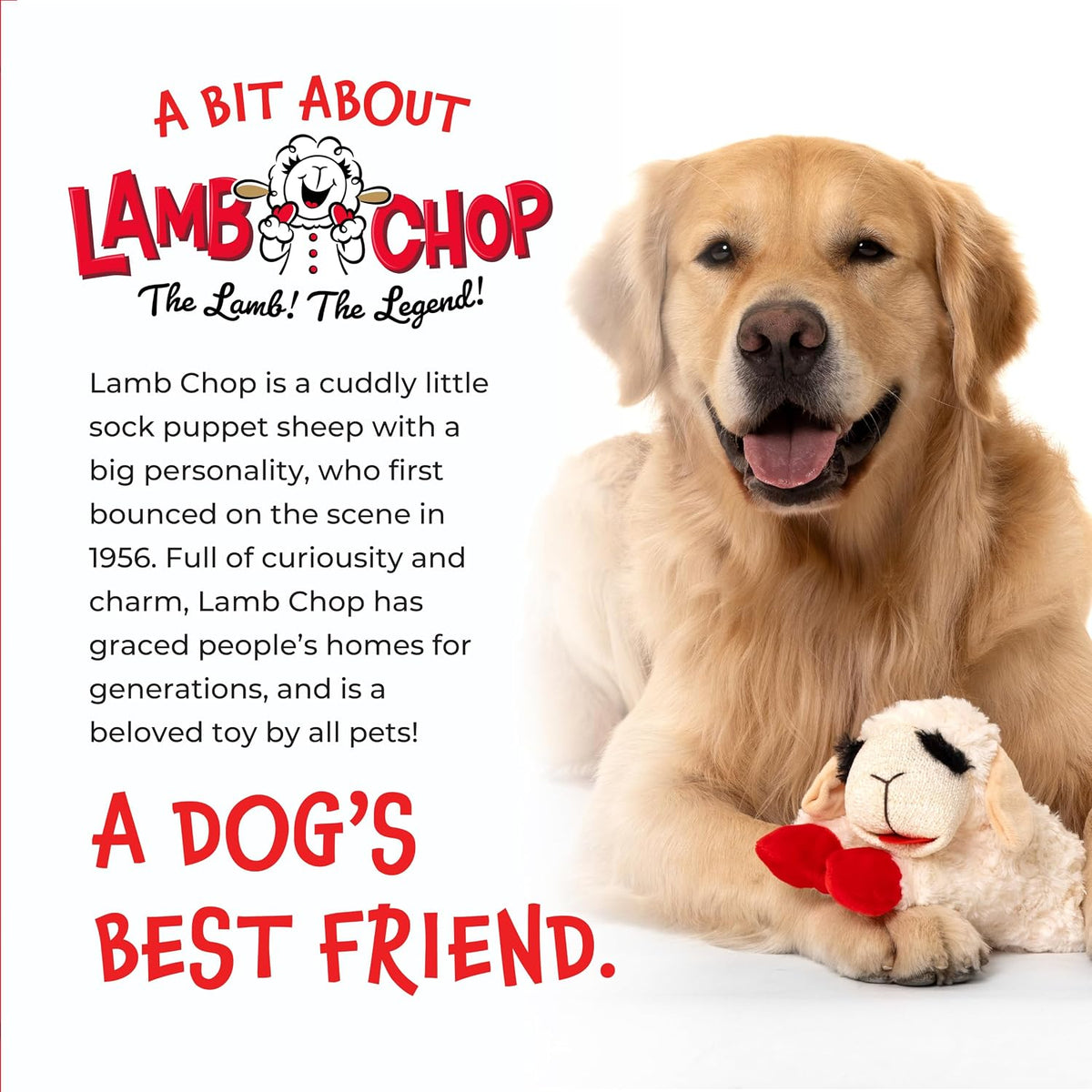 Multipet Lamb Chop Squeaky Toy – Soft Polyester Plush Safe for Puppy Mouths and Sensitive Gums