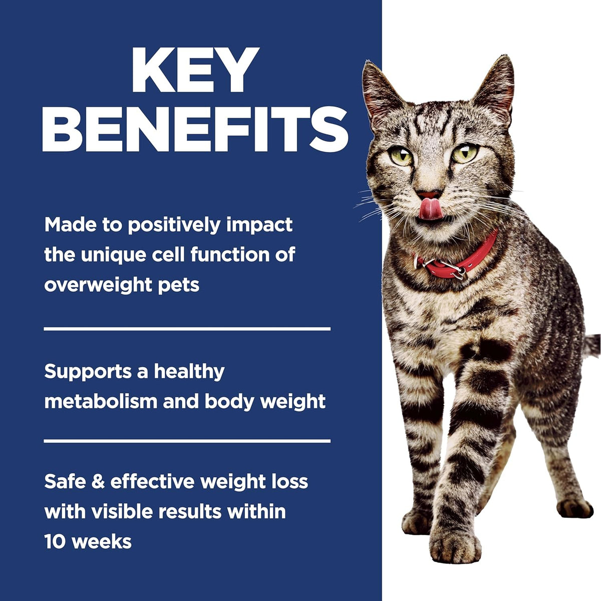 natural ingredients fortified with vitamins, minerals, and amino acids
