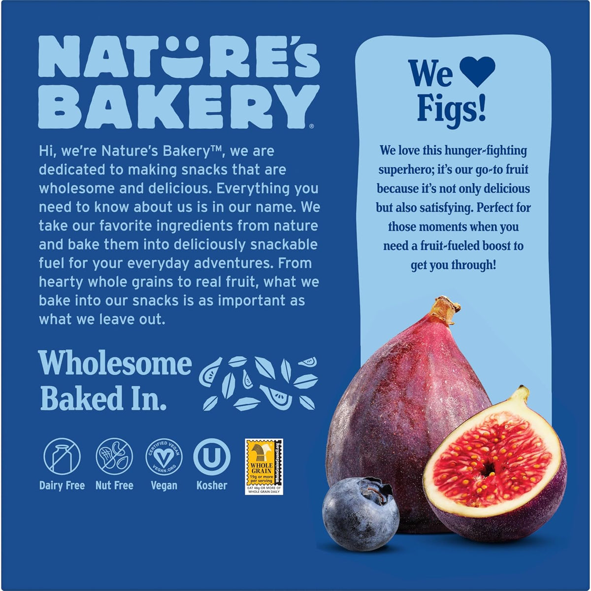Nature's Bakery Blueberry Fig Bars - Allergy-Friendly School Snack for Sensitive Kids, Dairy & Soy Free