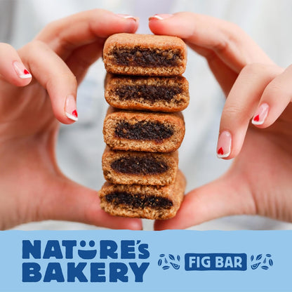 Nature's Bakery Fig Bars – Low Sodium Whole Grain Snack for Mindful Snackers, Non-GMO Twin Packs