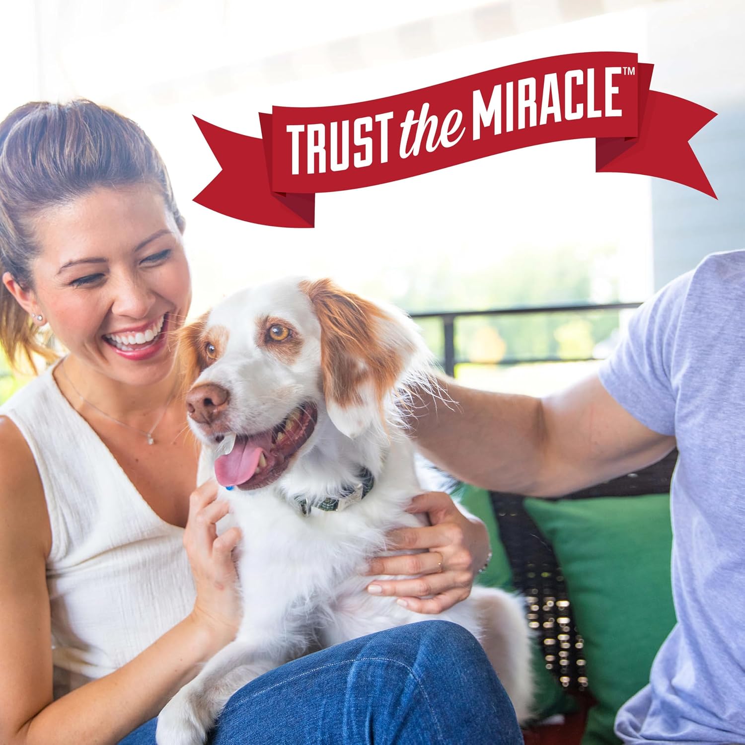 Nature's Miracle Advanced Stain and Odor Eliminator Dog Spray – Stress-Free Home Freshness for Relaxing Pet Households