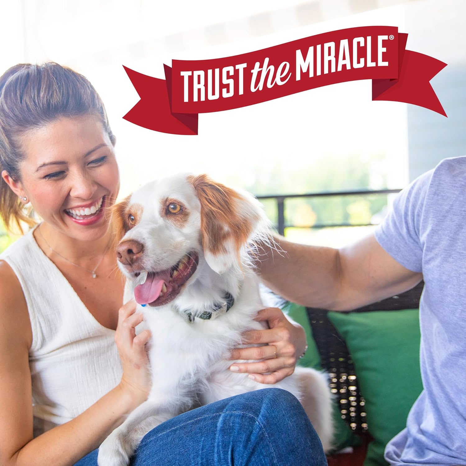Nature’s Miracle Stain and Odor Remover Dog, 32 Ounces – Versatile Enzymatic Spray for Carpet, Rugs and Upholstery