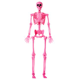 JOYIN Movable Joint Skeleton – Lightweight Spooky Accent for Trick-or-Treat Family Photo Corner