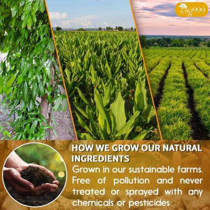 no pesticides or herbicides on ingredients, sun-dried, hand-processed in hygienic conditions