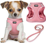 PawSavvy Step-In No-Pull Harness and Leash Set – Family-Friendly Walking Gear for Small Dogs Joining Stroller Walks and Park Days