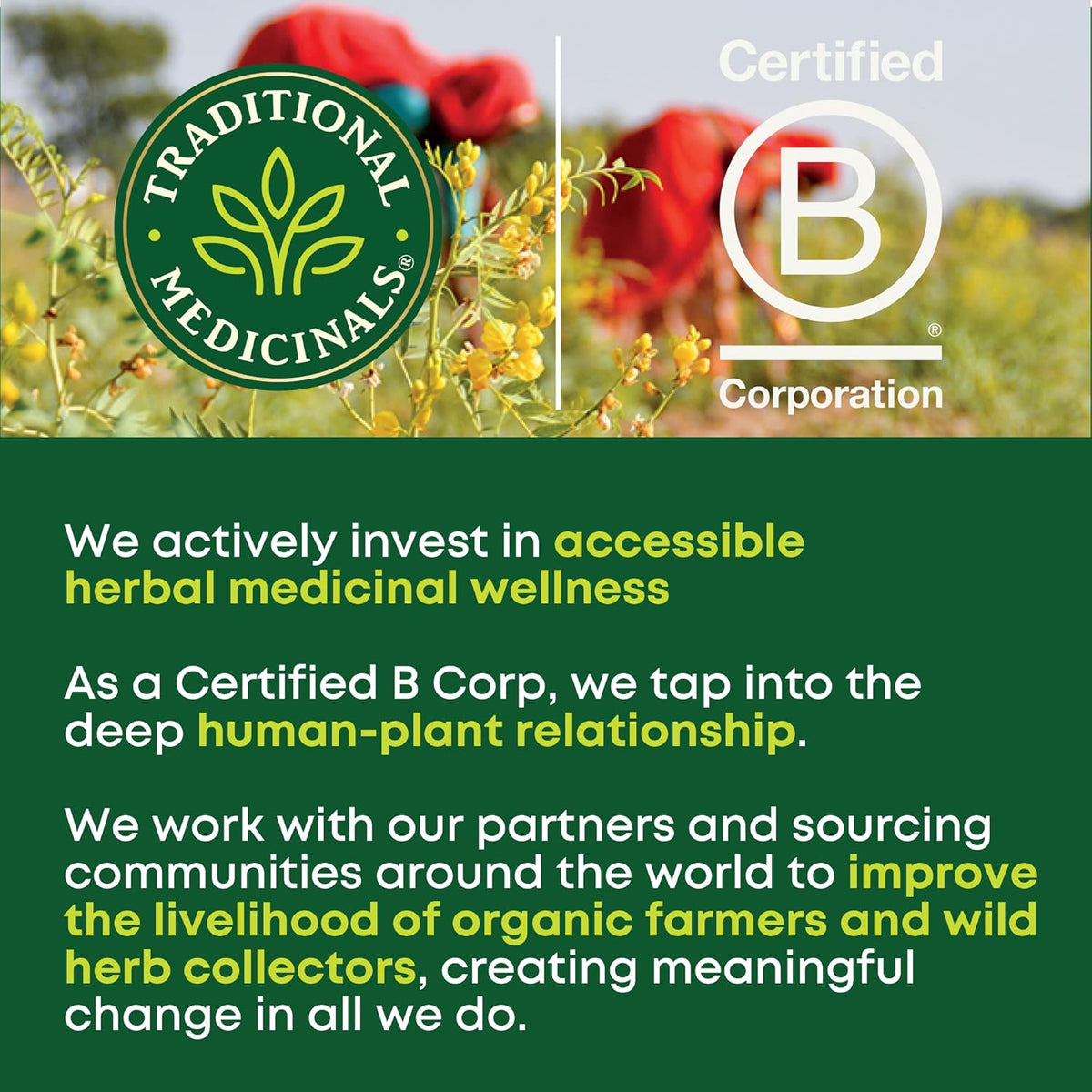 non-gmo project verified and certified organic with kosher certification