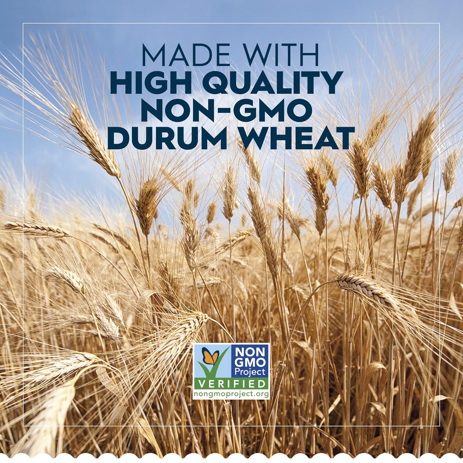 non-gmo project verified ingredient sourcing