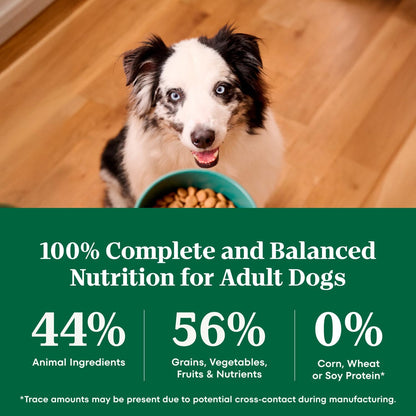 Nutro Natural Choice Adult Dry Dog Food – Boutique Style Nutrition Featuring Lamb as the First Ingredient, 30 lb