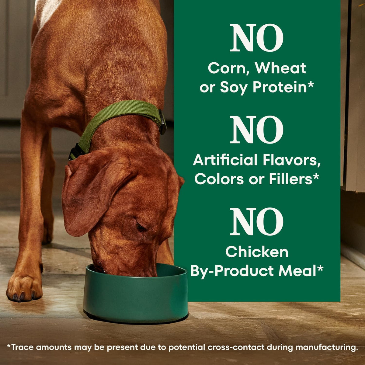 Nutro Natural Choice Adult Dry Dog Food – Daily Vitality Support with Omega-3 and Prebiotic Fiber, Lamb & Rice 30 lb