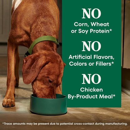 Nutro Natural Choice Adult Dry Dog Food – Daily Vitality Support with Omega-3 and Prebiotic Fiber, Lamb & Rice 30 lb
