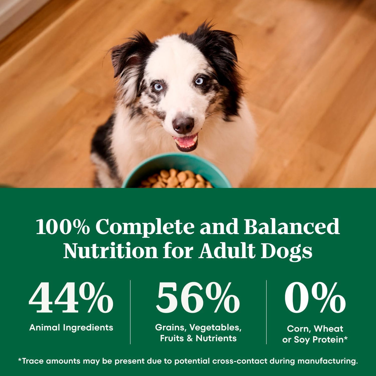 Nutro Natural Choice Adult Dry Dog Food – Daily Vitality Support with Omega-3 and Prebiotic Fiber, Lamb & Rice 30 lb