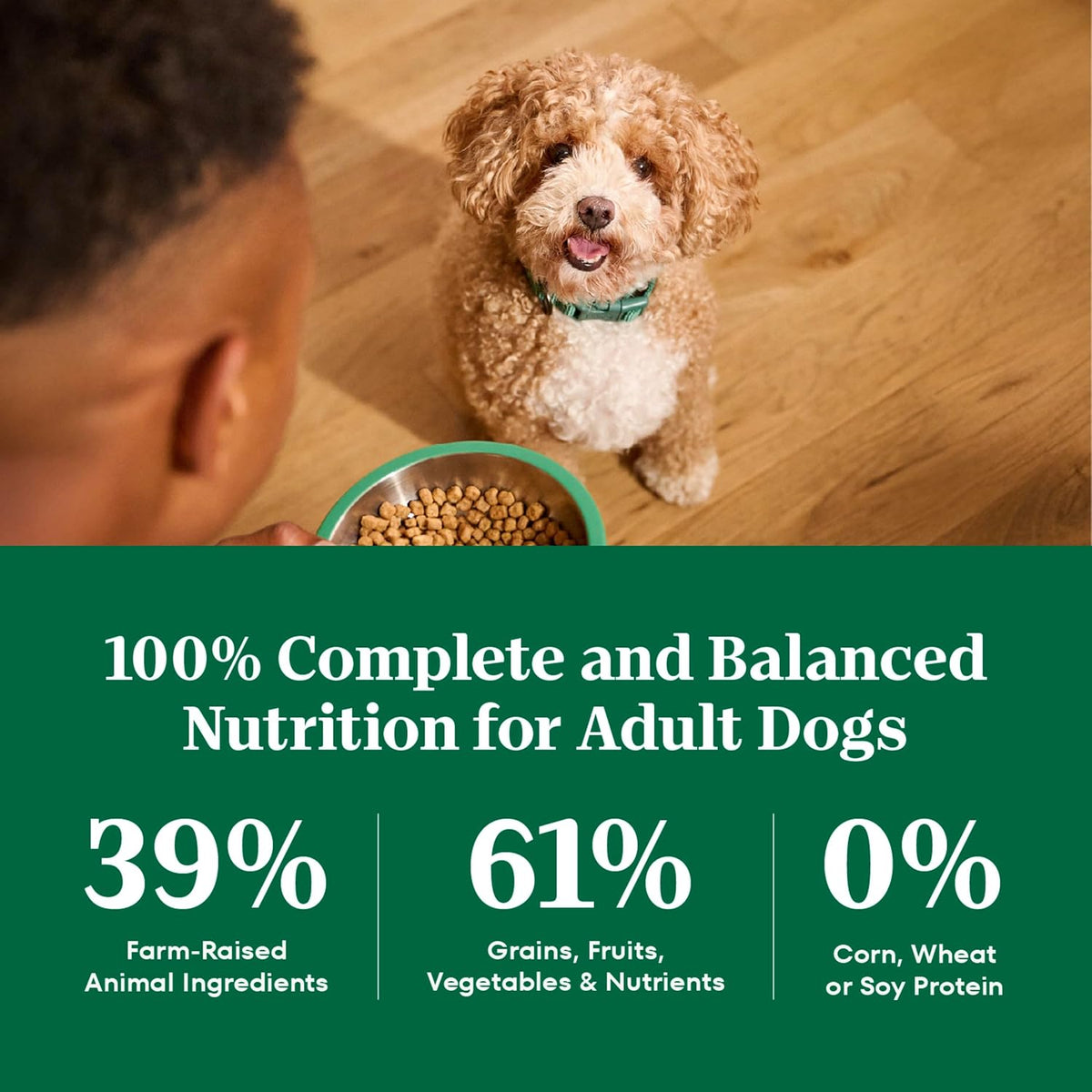 Nutro Natural Choice Small Bites – Wholesome Kibble Free from Corn, Wheat, and Soy, Chicken
