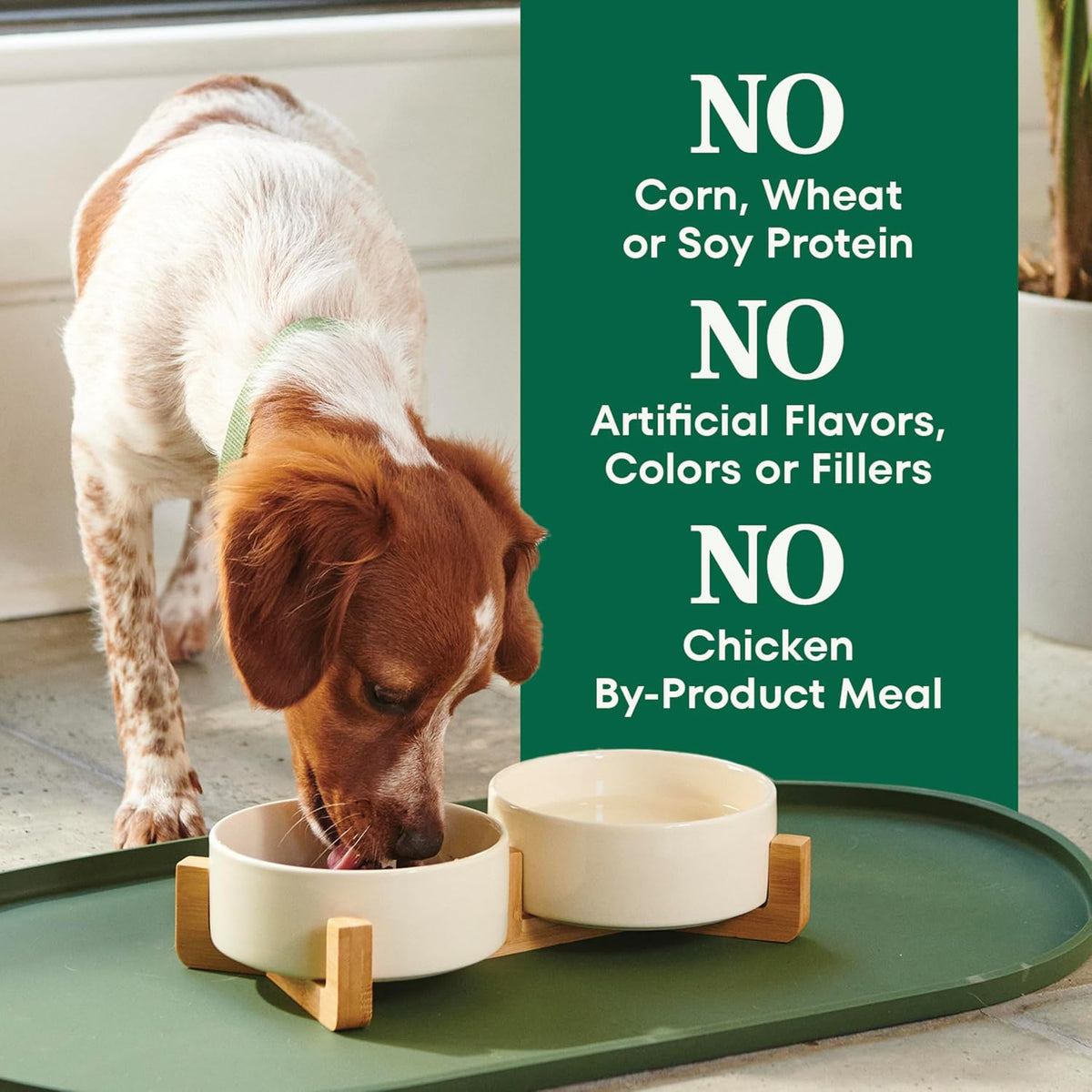 Nutro Natural Choice Small Bites – Wholesome Kibble Free from Corn, Wheat, and Soy, Chicken