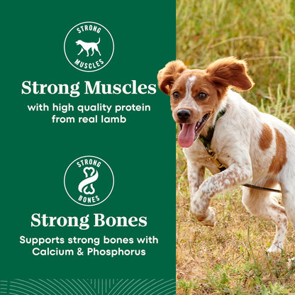 Nutro Natural Choice Small Bites – Wholesome Kibble Free from Corn, Wheat, and Soy, Chicken