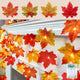 2 Pack 4 Color Maple Leaves