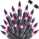Purple - 25ft