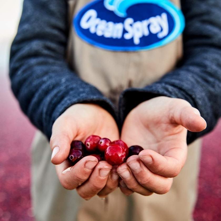 Ocean Spray Cran-Energy Cranberry Raspberry Energy Juice Drink for Running Routes and Portable Post Workout Recovery