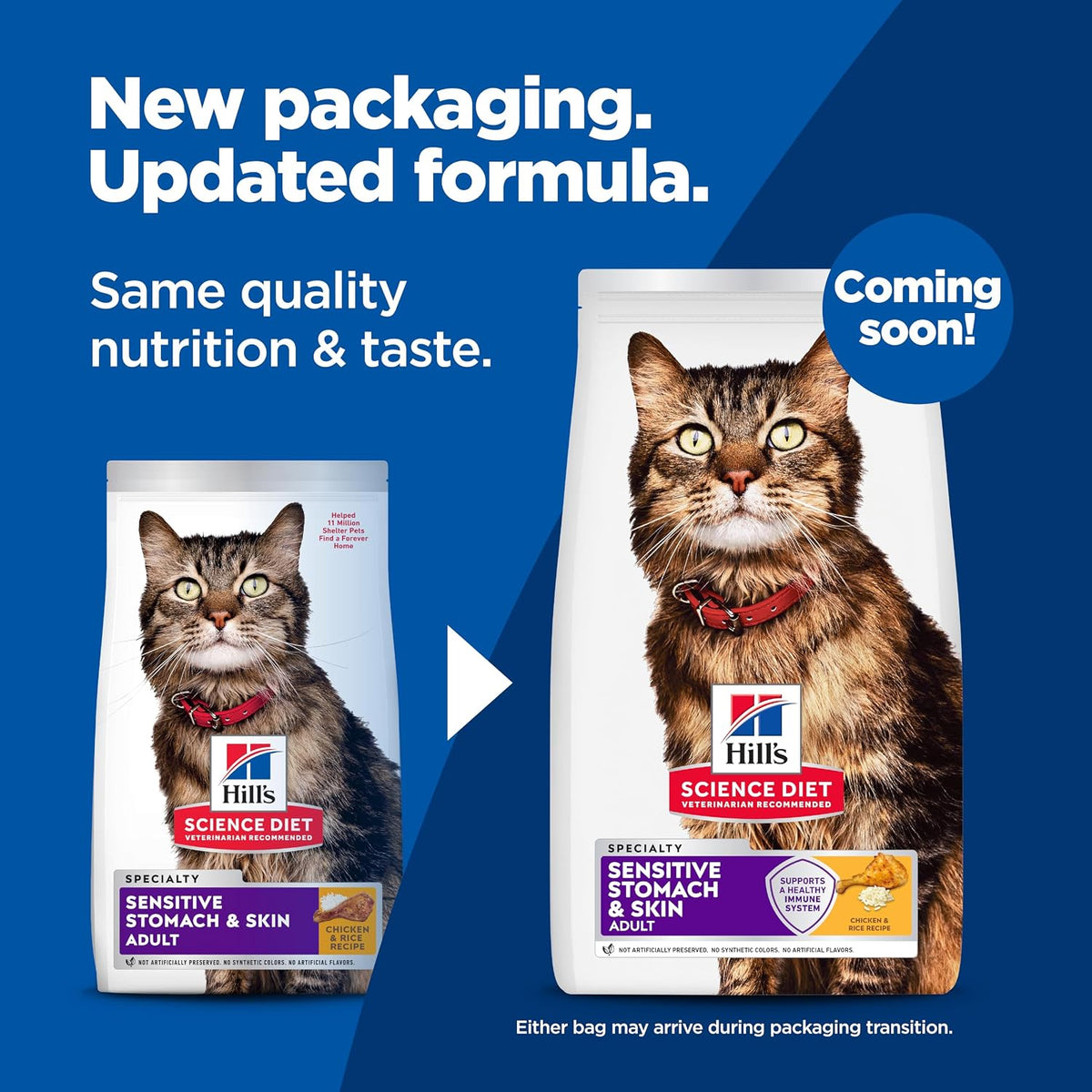 omega-3 and omega-6 fatty acids plus vitamin e for skin and coat health