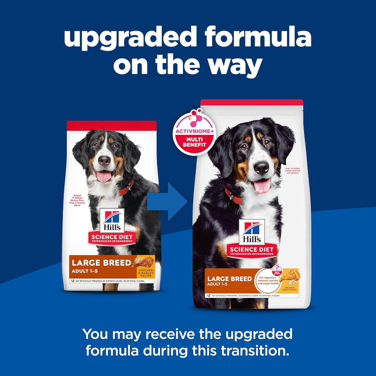 omega-6 fatty acids and vitamin e blend for skin and coat health