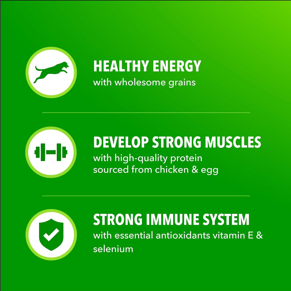omega-6 fatty acids for healthy skin and coat