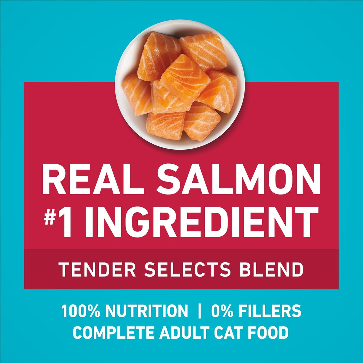 omega-6 fatty acids for healthy skin and shiny coat