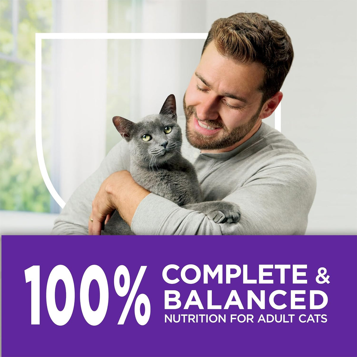 Purina Cat Chow Gentle Sensitive Stomach & Skin Dry Cat Food - Highly Digestible Feeding for Cats with Sensitive Systems