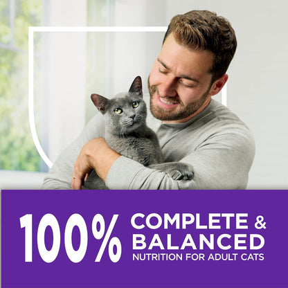 Purina Cat Chow Gentle Sensitive Stomach & Skin Dry Cat Food - Highly Digestible Feeding for Cats with Sensitive Systems