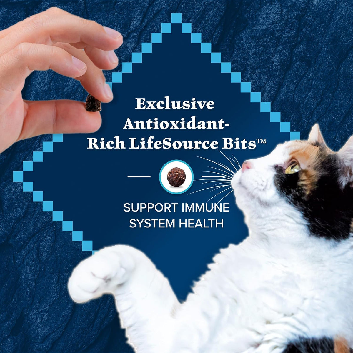 Blue Buffalo Wilderness Adult Cat Food with Deboned Chicken and No Poultry By-Product Meals