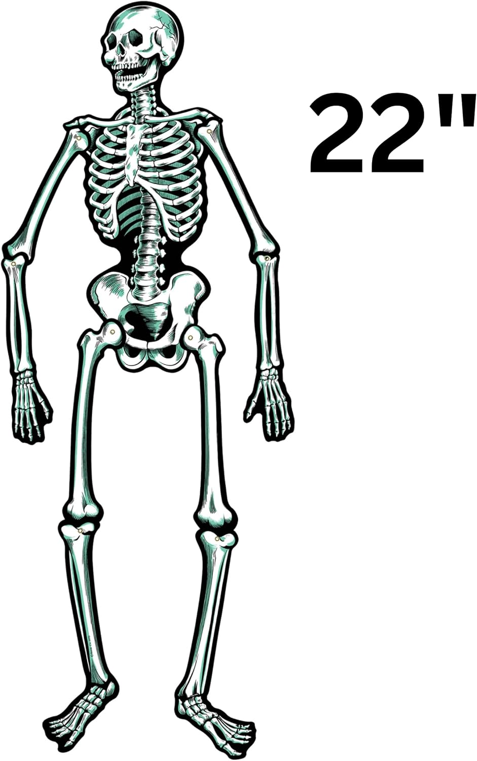 one-sided print with detailed vintage-style bone artwork