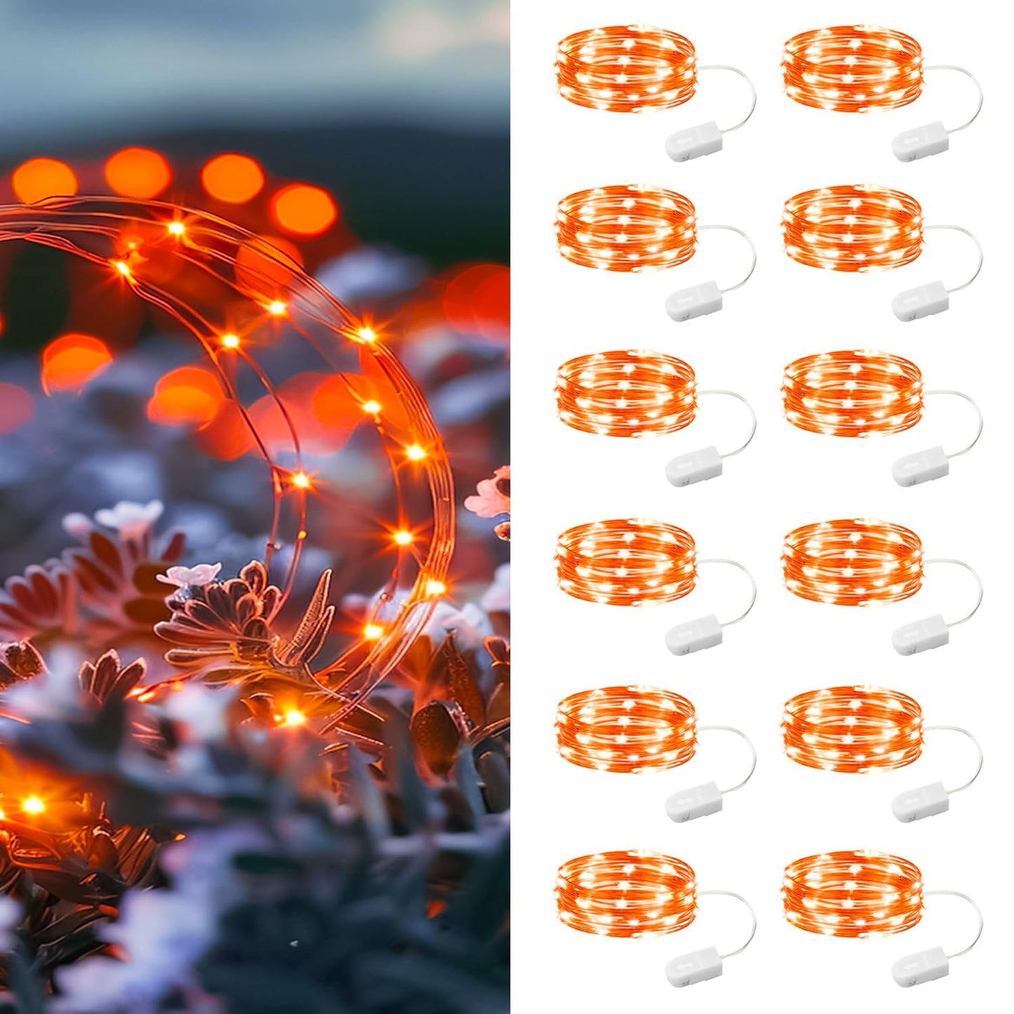 Orange - 12 Pack
